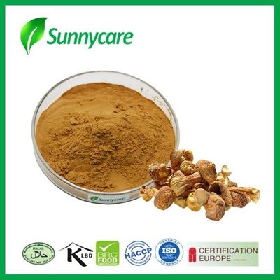 Agaricus Blazei Murill Extract Mushroom Extract Powder Polysaccharides Beta Glucan