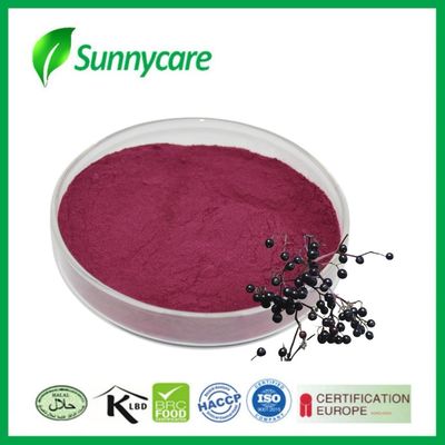 Chất chiết xuất Black Elderberry từ Sambucus nigra để tăng khả năng miễn dịch và sức sống