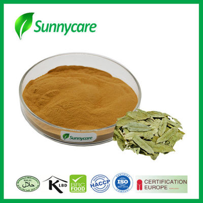 CAS 81-27-6 Senna Leaf Extract Powder Cassia Angustifolia Sennosides A And B 20%