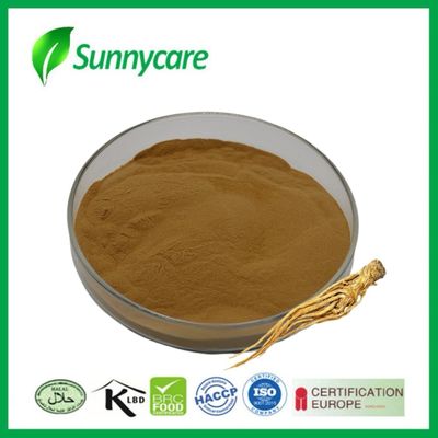 Chiết xuất rễ Dong Quai bột Angelica sinensis Thuốc giảm đau kinh nguyệt Ngành dược phẩm