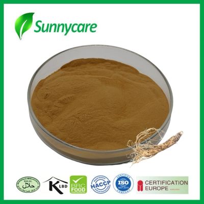 Dầu chiết xuất Dong Quai Angelica sinensis Polysaccharides Thúc đẩy lưu thông máu