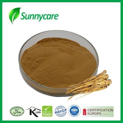 Chiết xuất Dong Quai bột Angelica sinensis Thân và thận sức khỏe Dược liệu thảo dược
